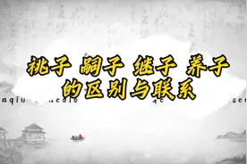 祧子嗣子继子养子的区别与联系视频封面