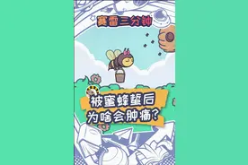 身上被蜜蜂蜇了后，为啥会肿胀起来？视频封面