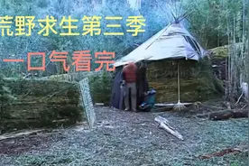 一口气看完荒野求生第3季完整版视频封面