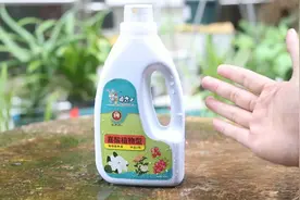 喜酸植物施什么肥料？园艺师教你，用喜酸植物营养液，促生长开花视频封面