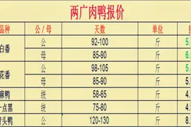 2020.12.05全国毛鸭价格一点黑报价涨白番鸭花番鸭报价跌视频封面