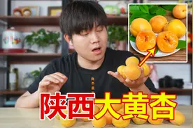 试吃陕西大黄杏，据说是酸甜可口特别好吃，是真的吗？