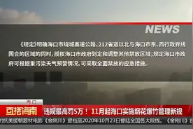 违规最高罚5万！ 11月起海口实施烟花爆竹管理新规视频封面