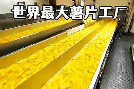 世界最大的薯片超级工厂，记录乐事薯片的制造过程，7天产150万袋
