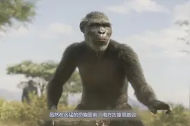 人类祖先（南方古猿到直立人）旧石器人类进化现代人类起源文明史视频封面