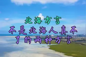 北海方言就是粤语和客家话？这种搜索结果，把廉州话放在何处！