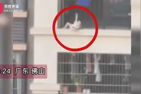 广东一幼儿头卡护栏身体悬空8楼外 邻居爬楼救援被赞中国好邻居视频封面
