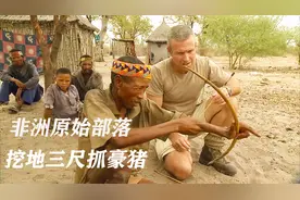 非洲原始部落猎人豹口夺食，仅靠短弓和长矛，轻松捕获两头豪猪视频封面