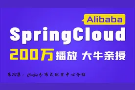 第74集：Config分布式配置中心介绍