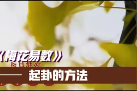 012易学易用的 梅花易数 第十二节 起卦的方法  从零基础入门视频封面