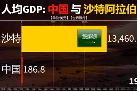 中阿峰会顺利开幕，中国和沙特人民富裕程度如何？看人均GDP对比视频封面
