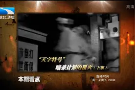《大揭秘》解放战争系列“天字特号”暗杀计划的覆灭（下集）视频封面