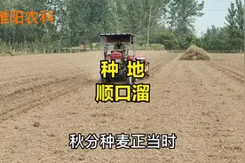 种地顺口溜，记住这些内容，你也能成为高手