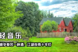 轻音乐 桃李春风一杯酒，江湖夜雨十年灯视频封面