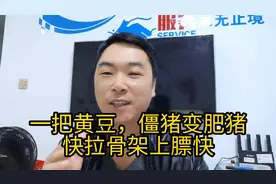 一把黄豆，僵猪变肥猪，快拉骨架上膘快！巧用黄豆肥猪长的快视频封面