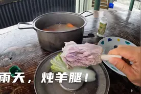 环球旅行1297天：下雨天，观鲸团取消！在客栈研究一天加拿大签证