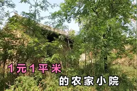 500平米农村院子，房主只要1千元，却没人看的上，这院子能要吗？视频封面