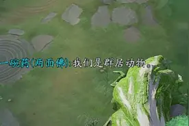 决战平安京：逢魔两面佛，这也太快乐了吧视频封面