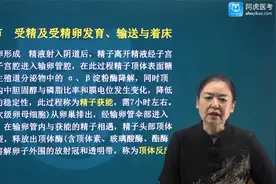 2021 中西医结合妇科学副主任医师 受精及受精卵发育、输送与着床视频封面