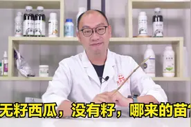 无籽西瓜，没有籽，哪来的瓜苗？不是转基因！而是有“核心技术”视频封面