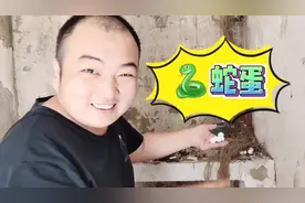 郑州最潮湿的车库，里面竟然有蛇窝！树根下面暗藏了很多蛇蛋视频封面