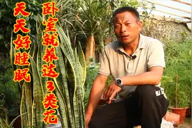 卧室就养这“3”类花，空气清新，安神助眠，对身体好！视频封面