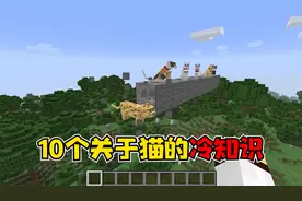 我的世界：10个关于猫的冷知识，猫从多高的地方掉下来会摔死呢