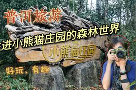 住进普洱小熊猫庄园，与动植物为邻，亲子游好去处！视频封面