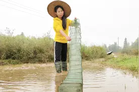 实拍江西农村姑娘收地笼，收获“娃娃鱼”和中国斗鱼，你认识吗？视频封面