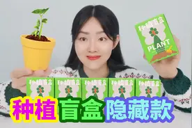 开箱种植盲盒，一共有9种植物种子，最后还拆出了隐藏款！视频封面