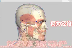 经络的概念视频封面
