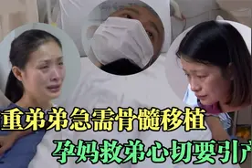 弟弟得急性白血病，姐姐骨髓配型成功，可她肚里却怀着一对双胞胎视频封面