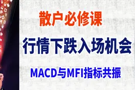 散户必修课：行情下跌操作分析，MACD与MFI指标组合技巧视频封面