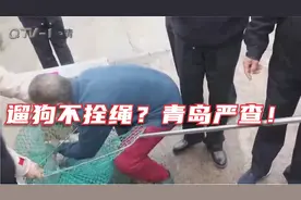 遛狗不拴绳？青岛严查！