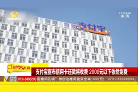 支付宝信用卡还款服务规则调整，超出2千元免费额度后将收费视频封面