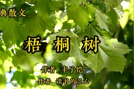 经典散文诵读《梧桐树》，作者丰子恺，大家的文字果然是非同一般视频封面