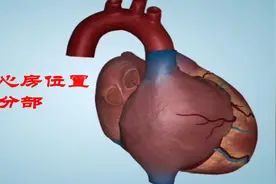 解剖中的外科学：心脏解剖学-右心房位置及分部，西医综合视频封面