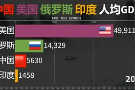 中美俄印四国历年人均GDP对比，中国追平俄罗斯，继续加油！视频封面