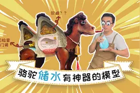 骆驼的驼峰竟然不是用来存水的？那它靠啥在沙漠里笑嘻嘻？视频封面