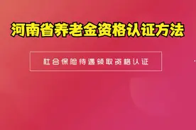 河南省养老金领取资格认证方法视频封面
