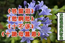 迟志强经典老歌《铁窗泪》《愁啊愁》《十不该》《十跪母重恩》