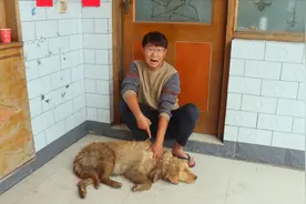 金毛浑身难受又痒又疼，小伙在它身上找到了狗虱子，这该怎么办？视频封面