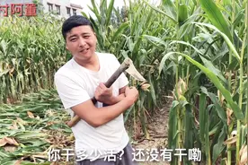 小伙在丈母娘家住了半年，干一次活就要好处，媳妇：你要点脸好吗视频封面