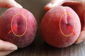 桃子甜不甜，98岁老瓜农教你一招，香甜好吃汁水多，一拿一个准视频封面