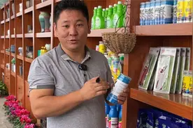 矮壮素的作用及用法视频封面