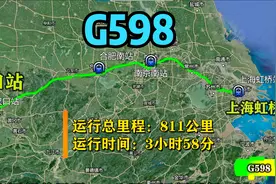 航拍G598次高铁(上海虹桥-汉口)，运行811公里，仅用3小时58分！视频封面