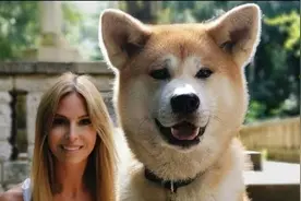 日本国宝级宠物秋田犬，背后感人的忠犬八公物语，一起来揭秘吧视频封面