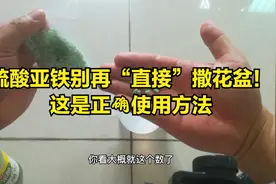 硫酸亚铁怎样用效果最好？看完让你大开眼界，农民又学到了新知识视频封面
