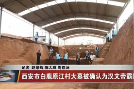 西安市白鹿原江村大墓被确认为汉文帝霸陵视频封面