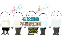 骑猪去医院续集，千万不要在蛇面前吹口哨